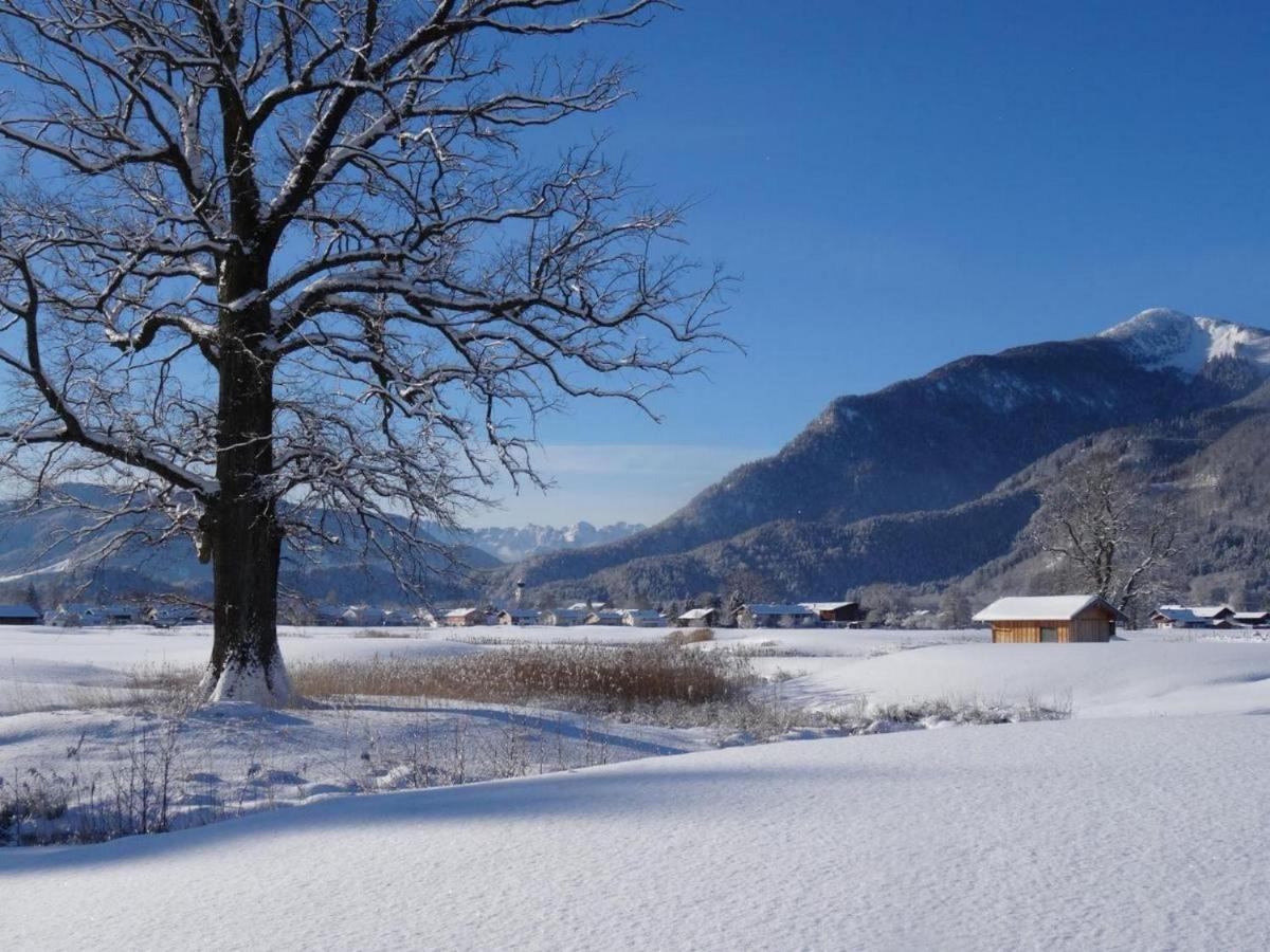 Apartament Graublau Grassau  Zewnętrze zdjęcie